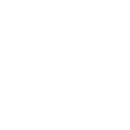 Switch Camera
